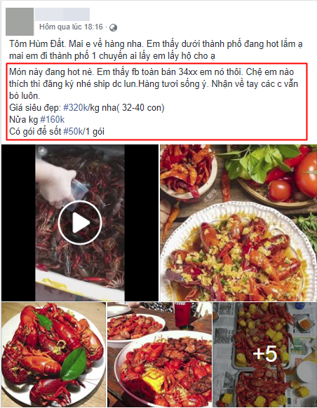 Tôm hùm đất giá nào cũng có bán tràn lan trên mạng, chị em nội trợ mua ầm ầm