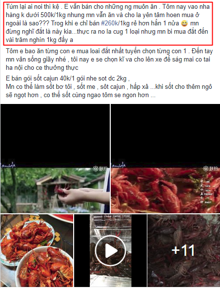 Tôm hùm đất giá nào cũng có bán tràn lan trên mạng, chị em nội trợ mua ầm ầm
