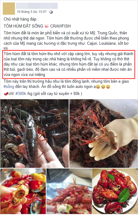 Tôm hùm đất giá nào cũng có bán tràn lan trên mạng, chị em nội trợ mua ầm ầm