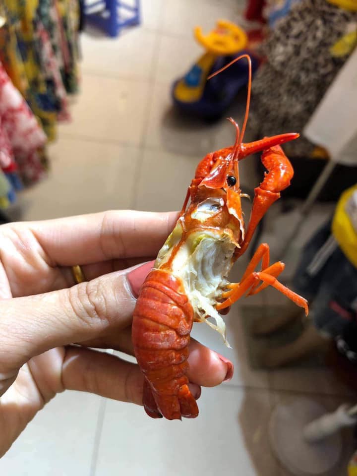 Tôm hùm đất giá nào cũng có bán tràn lan trên mạng, chị em nội trợ mua ầm ầm