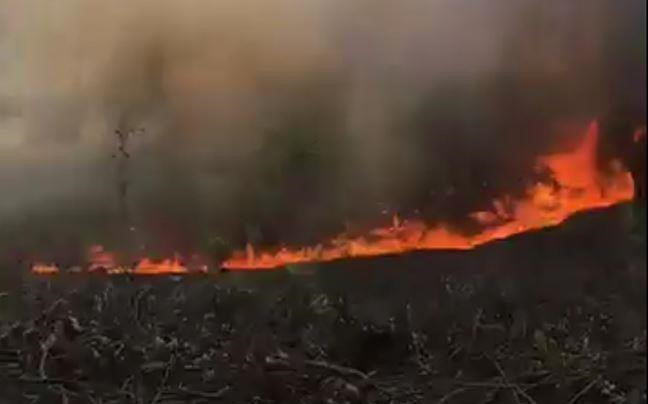 Nắng nóng đổ lửa, cháy rừng liên tiếp ở Thừa Thiên Huế