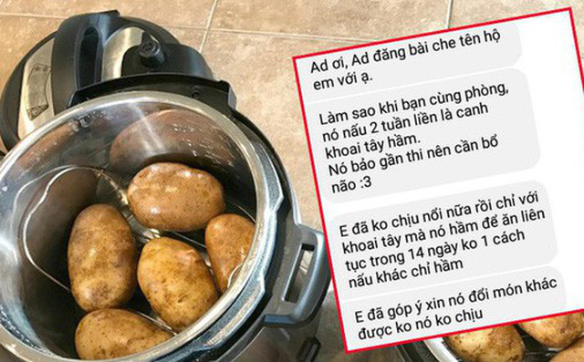 Hoảng sợ khi thấy bạn cùng phòng ăn khoai tây hầm liên tục 14 ngày, nam sinh cầu cứu cư dân mạng hiến kế