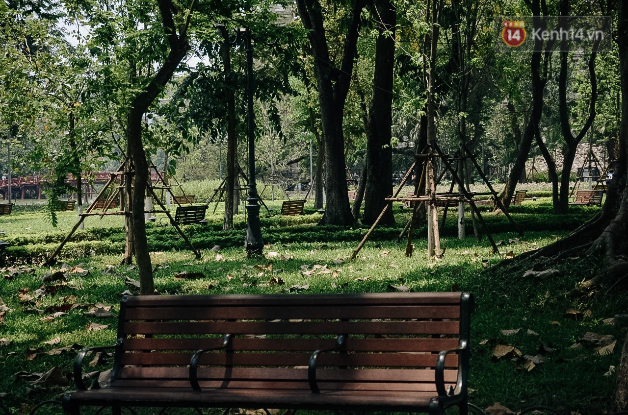 Ảnh: Hà Nội nắng nóng cháy da cháy thịt, nhiều người không khỏi mệt mỏi tìm bóng cây nghỉ ngơi