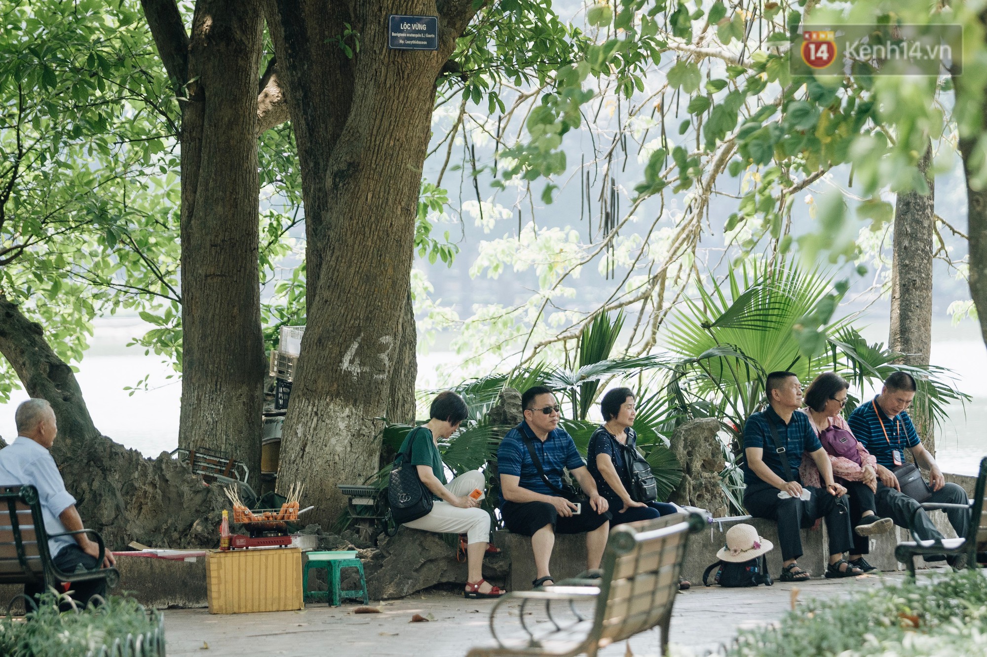 Ảnh: Hà Nội nắng nóng cháy da cháy thịt, nhiều người không khỏi mệt mỏi tìm bóng cây nghỉ ngơi