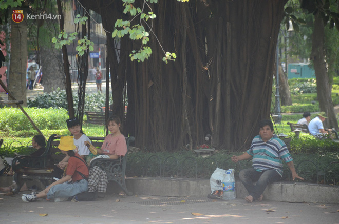 Ảnh: Hà Nội nắng nóng cháy da cháy thịt, nhiều người không khỏi mệt mỏi tìm bóng cây nghỉ ngơi