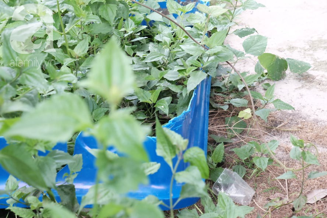 Hé lộ tài sản khủng đến hàng tỷ đồng trên xe của nhóm nghi can xác người bê tông ở Bình Dương