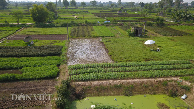 Video ảnh: Nông dân mang bảo bối chống nắng 40 độ C ra đồng