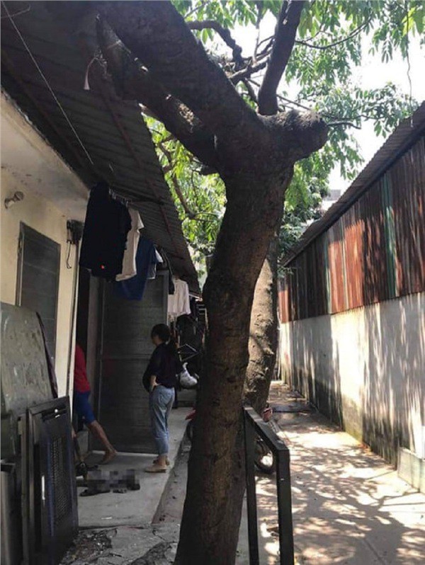 Đại chiến gia đình giữa ngày 40 độ: Vợ bầu 8 tháng muốn ngất lịm đi vì nóng, chồng tiếc tiền quyết không mua điều hòa