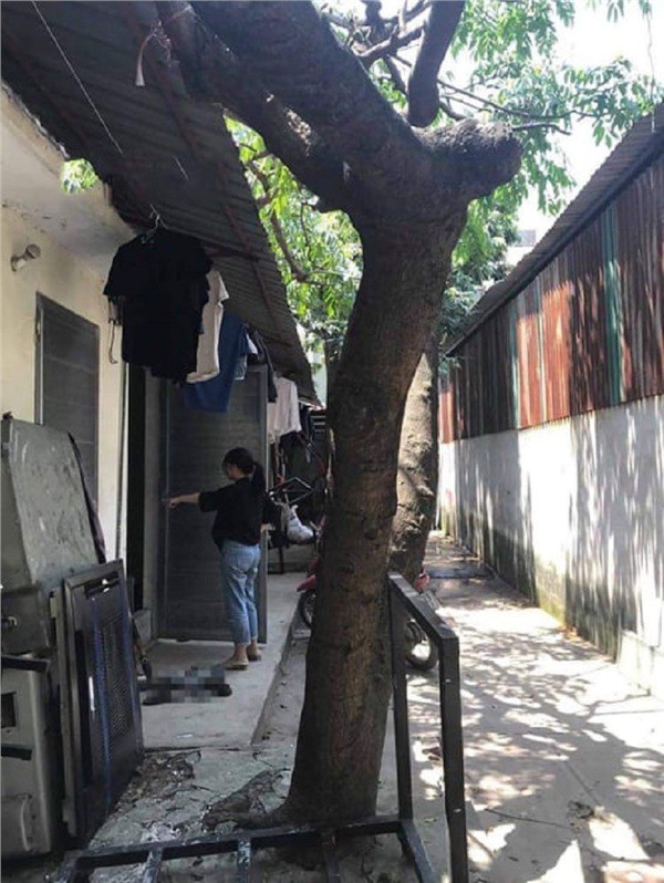 Đại chiến gia đình giữa ngày 40 độ: Vợ bầu 8 tháng muốn ngất lịm đi vì nóng, chồng tiếc tiền quyết không mua điều hòa