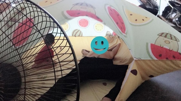 1001 bí kíp chống nóng độc nhất vô nhị cho mùa hè, tác giả toàn thiên tài với IQ vô cực