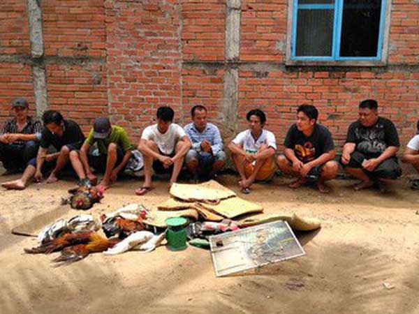 Con bạc bỏ chạy tán loạn khi công an ập vào trường gà