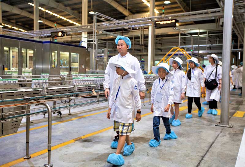 Chuyện hậu trường của mỗi hộp sữa học đường