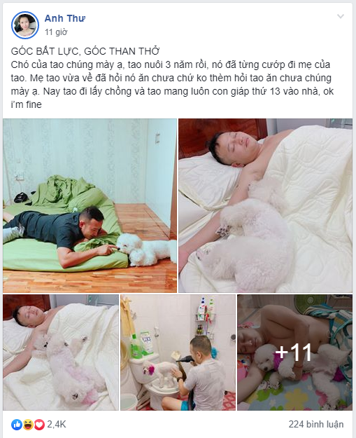 Góc nuôi ong tay áo: Mang theo cún cưng về nhà chồng, vợ trẻ cay đắng phát hiện bị cướp chồng lúc nào chẳng hay