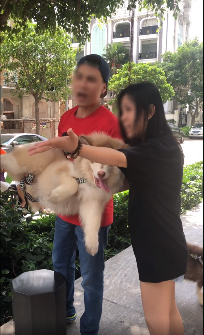 Nam Việt Kiều lên tiếng sau khi bị ném đá vì xấc xược với bác bảo vệ lớn tuổi: Sẽ xin lỗi trực tiếp, mong CĐM đừng làm phiền tới vợ và gia đình