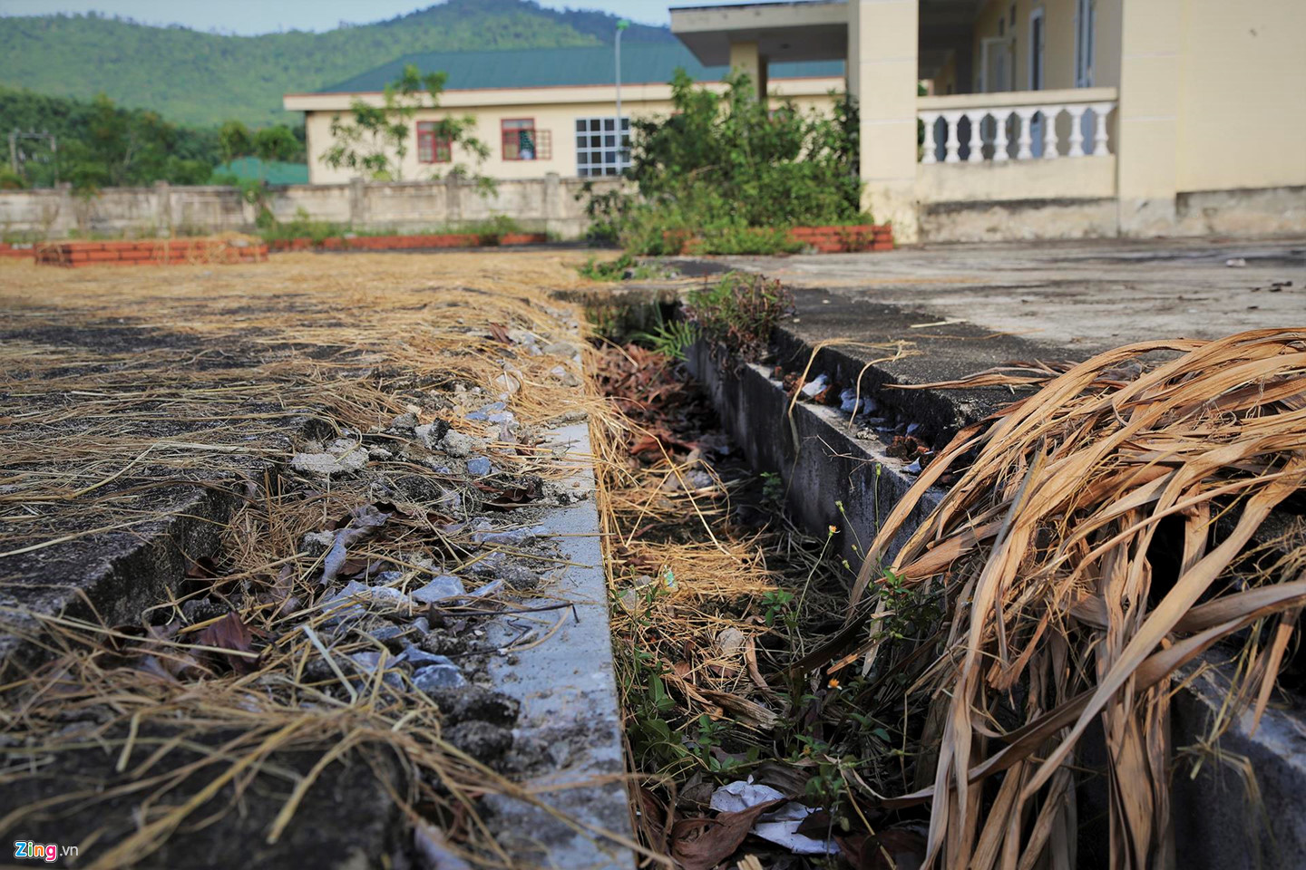Video ảnh: Trường hơn 16 tỷ đồng bỏ hoang, người dân tận dụng phơi rơm, thả bò