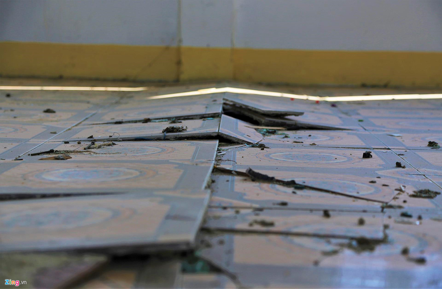 Video ảnh: Trường hơn 16 tỷ đồng bỏ hoang, người dân tận dụng phơi rơm, thả bò