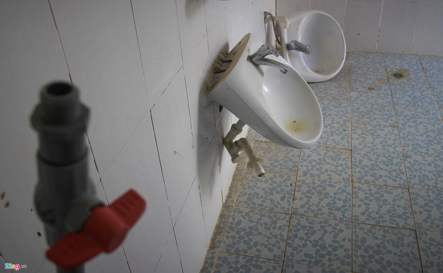 Video ảnh: Trường hơn 16 tỷ đồng bỏ hoang, người dân tận dụng phơi rơm, thả bò