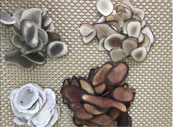 Người có chức năng thận kém nên ăn 4 thực phẩm này: Vừa lành vừa bổ thận tráng dương