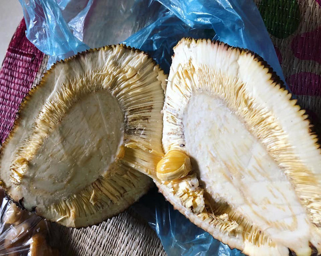 Cười ra nước mắt với mít độc múi: Đến tạo hóa cũng trêu ngươi thế này thì chị em biết tin vào đâu đây?