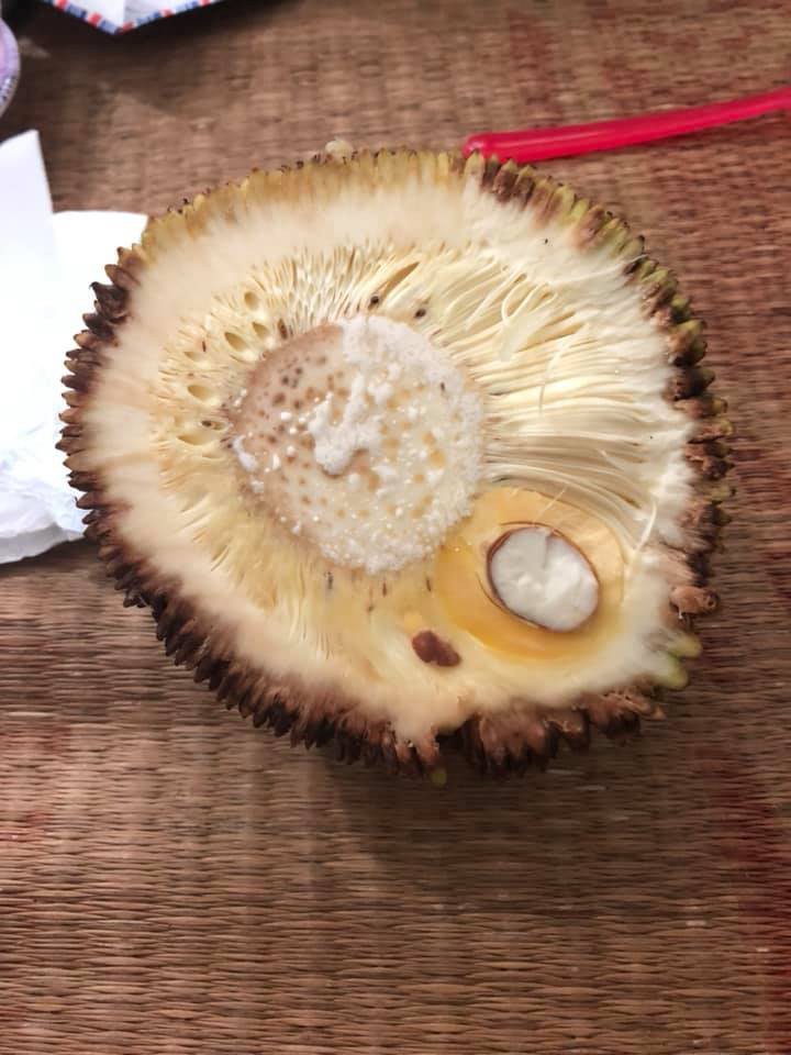 Cười ra nước mắt với mít độc múi: Đến tạo hóa cũng trêu ngươi thế này thì chị em biết tin vào đâu đây?