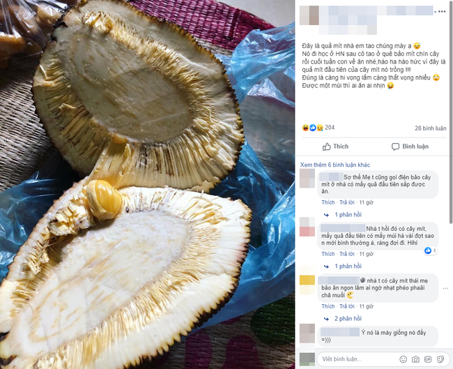 Cười ra nước mắt với mít độc múi: Đến tạo hóa cũng trêu ngươi thế này thì chị em biết tin vào đâu đây?