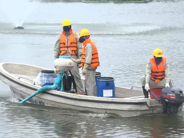 Hà Nội nói gì về chế phẩm xử lý nước độc quyền và vụ 200 tấn cá chết trắng hồ Tây?