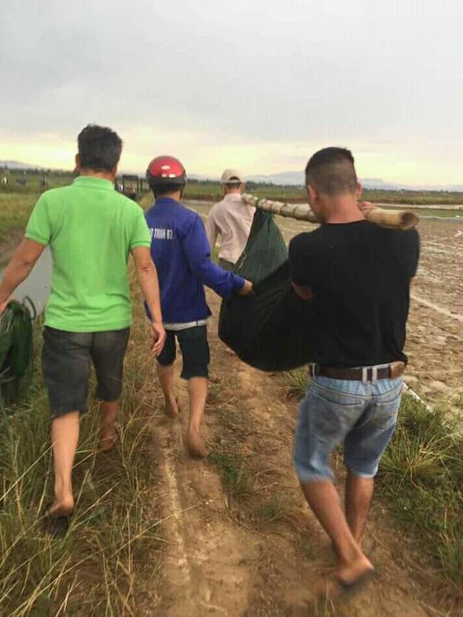 Quảng Trị: Đi làm ruộng thuê kiếm tiền nuôi con, người phụ nữ bị sét đánh tử vong