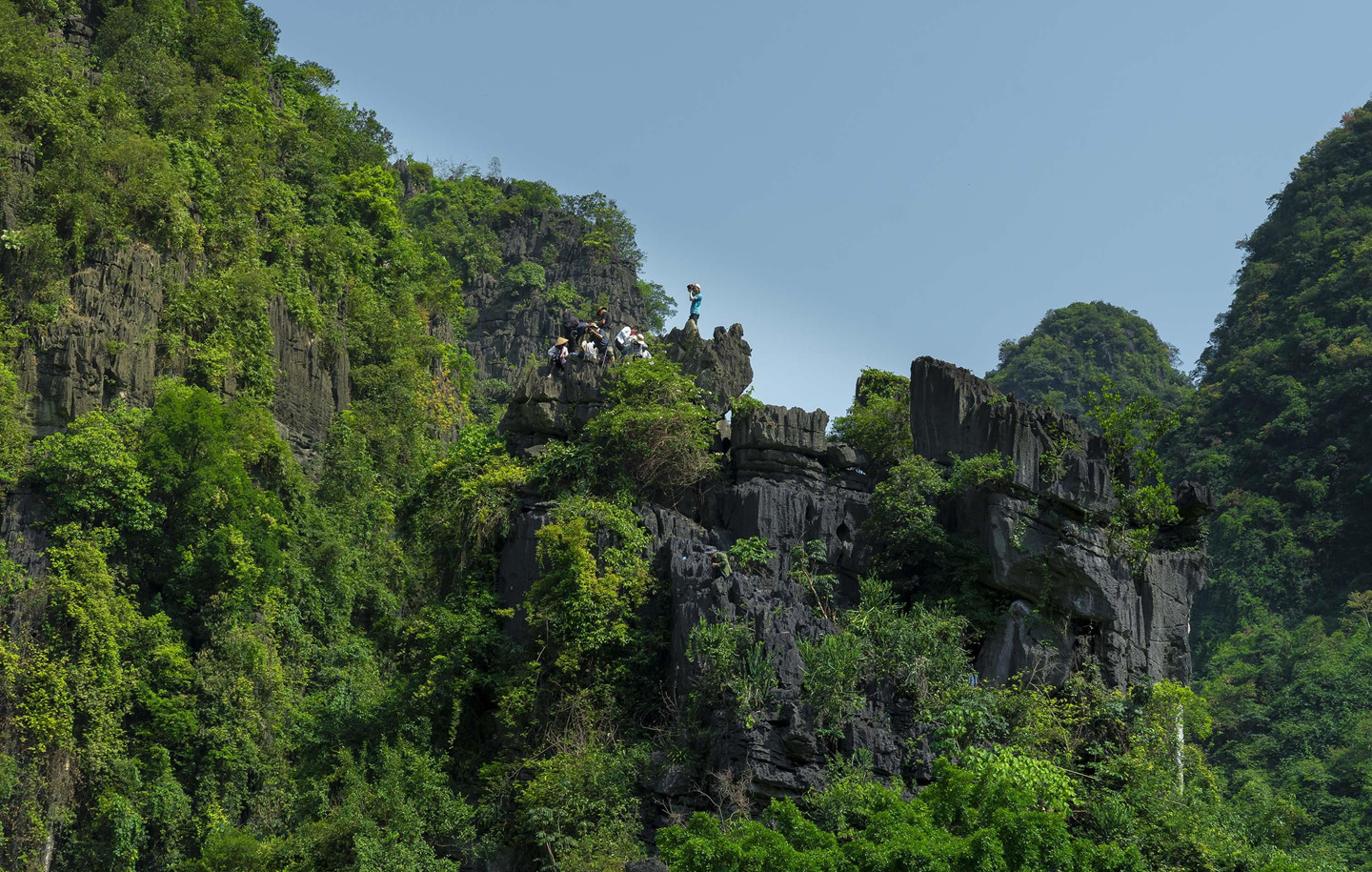 Ngắm mùa vàng Tam Cốc đẹp lung linh giữa trời non nước