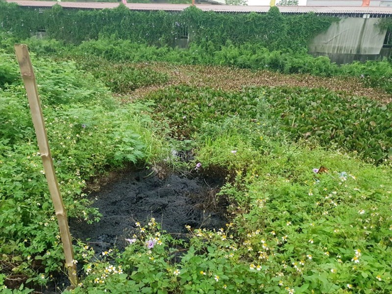 Người phụ nữ Hải Phòng bắt cua bị bỏng chân: Thêm điểm đổ chất thải độc