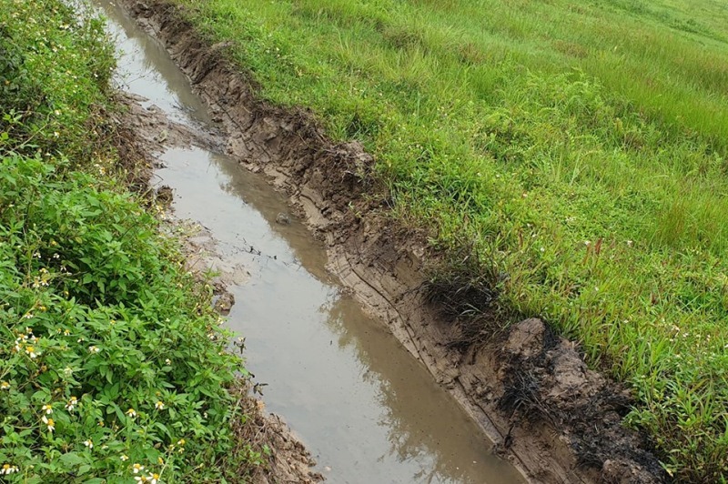 Người phụ nữ Hải Phòng bắt cua bị bỏng chân: Thêm điểm đổ chất thải độc