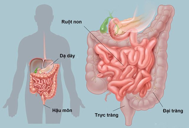 Ba cha con cùng bị ung thư, bác sĩ chỉ ra 9 nguyên tắc ngừa ung thư - 1 Ba cha con cùng bị ung thư, bác sĩ chỉ ra 9 nguyên tắc ngừa ung thư - 1