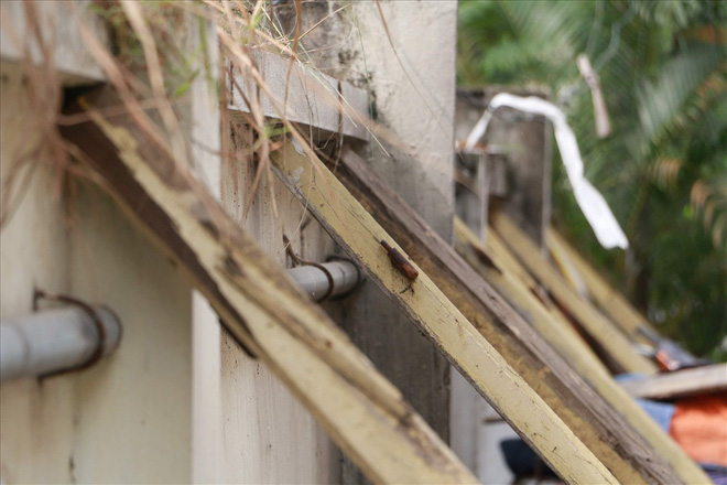 Vô tư mưu sinh dưới bức tường tử thần bất chấp nguy hiểm