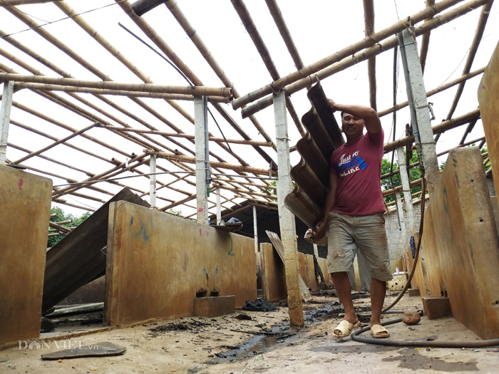 Những hình ảnh tan hoang chưa từng công bố từ dịch tả lợn châu Phi