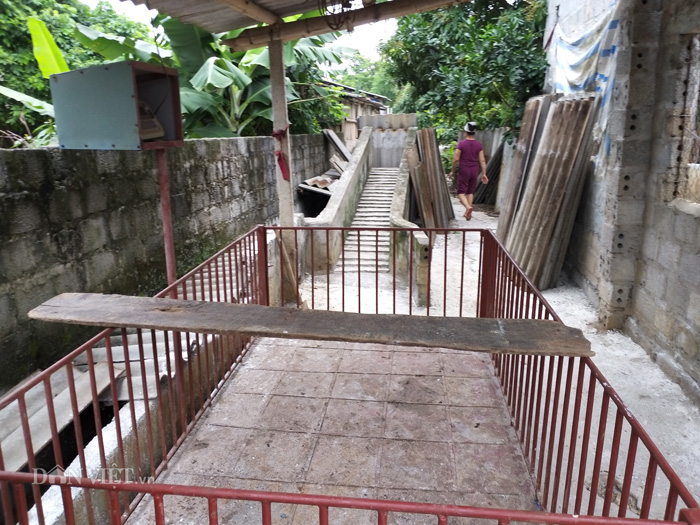 Những hình ảnh tan hoang chưa từng công bố từ dịch tả lợn châu Phi