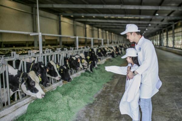 Diễn viên Mạnh Trường: Mong nhiều trẻ em được thụ hưởng chương trình sữa học đường hơn nữa