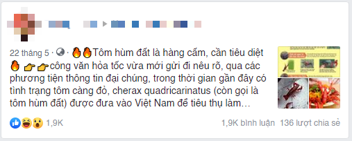 Ám ảnh đại dịch ốc bươu vàng, cư dân mạng kêu gọi tẩy chay tôm hùm đất