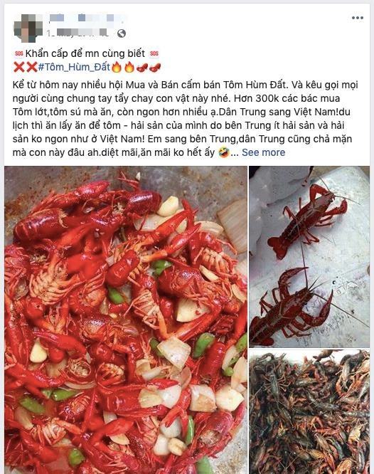 Ám ảnh đại dịch ốc bươu vàng, cư dân mạng kêu gọi tẩy chay tôm hùm đất