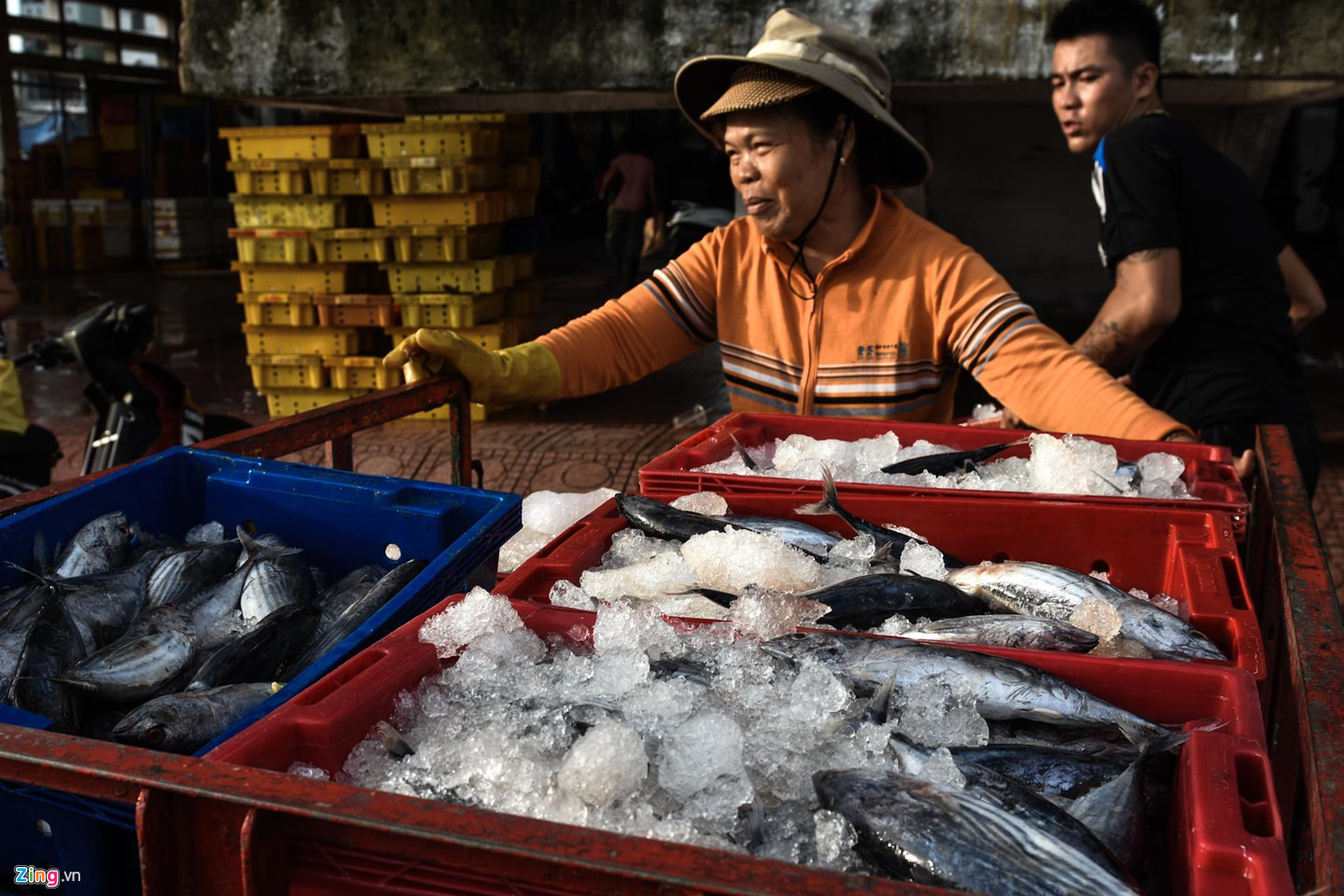 Video ảnh: Nhọc nhằn kiếm sống bên chảo lửa hấp cá ở cảng Quy Nhơn