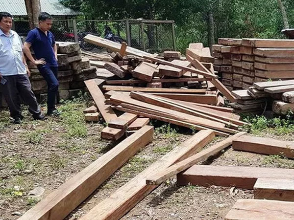 Điểm chứa gỗ lậu ngay trong phòng làm việc của ủy ban xã