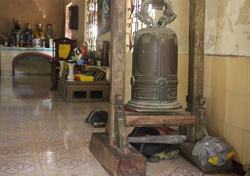 Cụ rùa 100 tuổi ăn chay, nghe kinh Phật trong chùa ở miền Tây