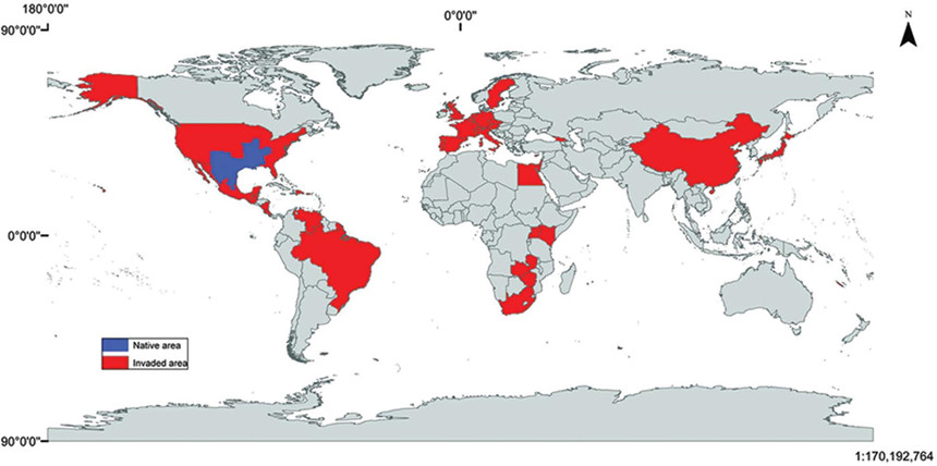 Nhiều nơi trên thế giới từng hối hận vì thảm họa nuôi tôm hùm đất