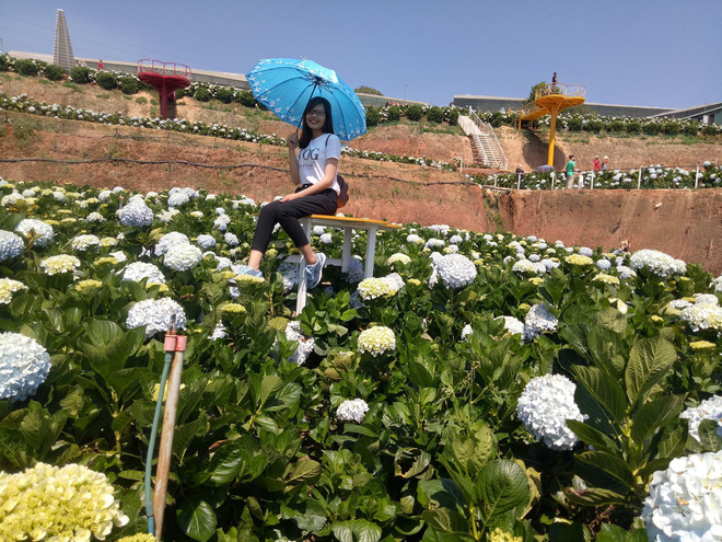 Gần 30 tuổi mà vẫn ế, gái xinh bị cả dòng họ đăng ảnh rao bán trên Facebook