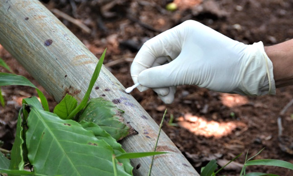 3 bà cháu bị sát hại ở Lâm Đồng: Bà con xa 10 năm mới gặp tiết lộ thông tin bất ngờ