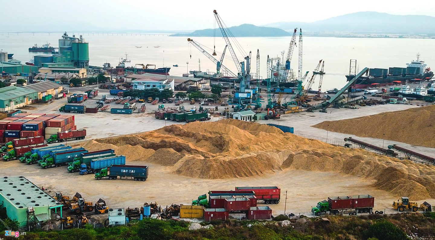 Cận cảnh cảng Quy Nhơn bị bán cổ phần với giá rẻ như cho