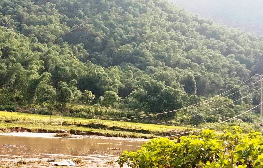 Gãy cột điện cao thế, vợ chồng trẻ Thanh Hóa bị điện giật chết thảm