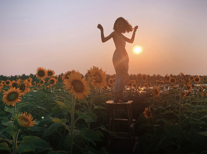 Thiếu nữ Hà Nội khoe lưng trần, eo thon ở cánh đồng hoa hướng dương