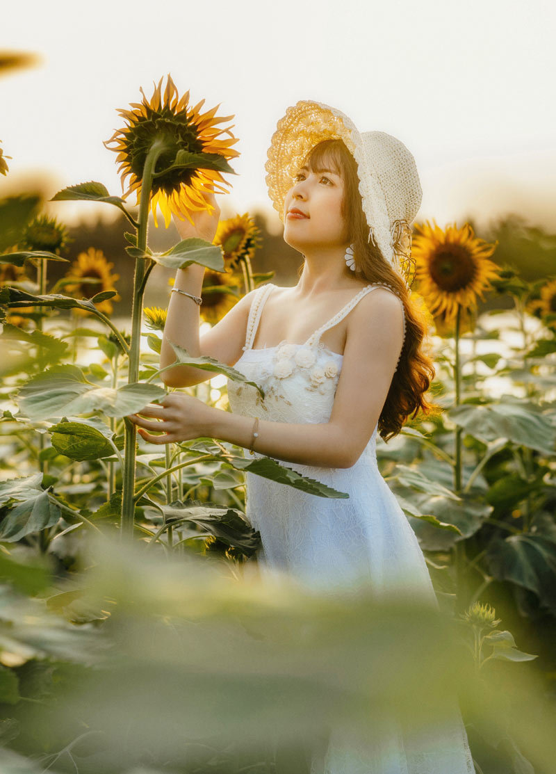 Thiếu nữ Hà Nội khoe lưng trần, eo thon ở cánh đồng hoa hướng dương