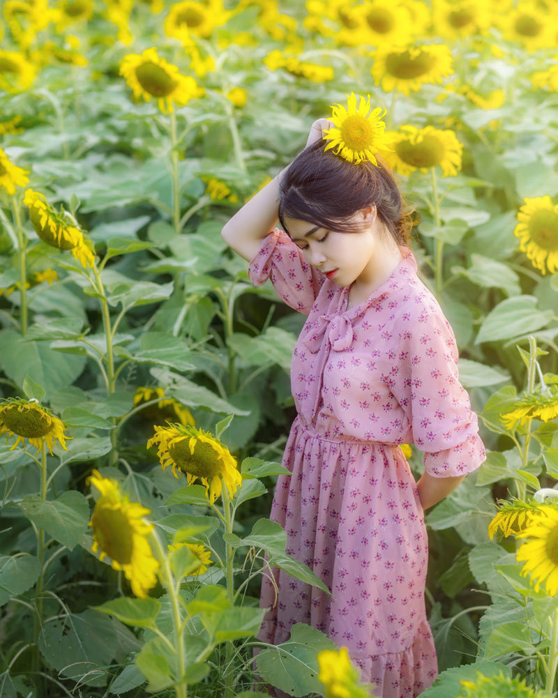 Thiếu nữ Hà Nội khoe lưng trần, eo thon ở cánh đồng hoa hướng dương