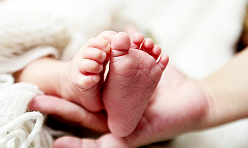 Nuôi con tu hú 3 năm, chồng đòi vợ bồi thường 100 triệu đồng