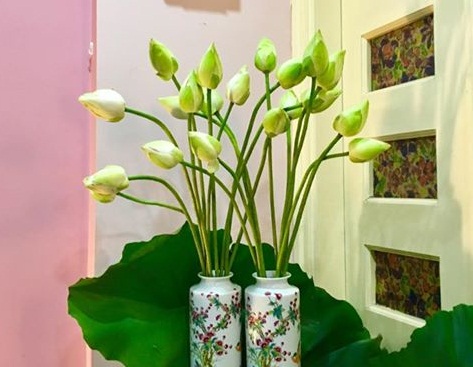 7 loại hoa bài trí trong phòng khách ắt trừ được tà, lại mang đến nhiều tài khí, may mắn cho gia chủ